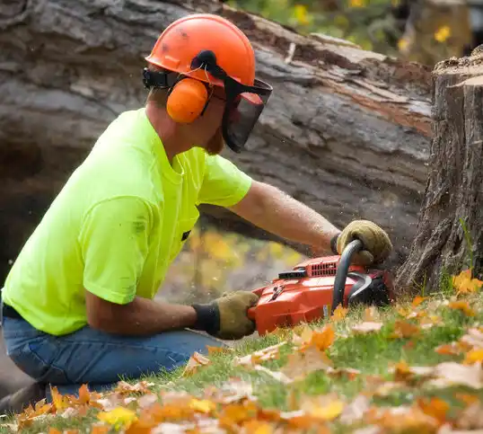 tree services Eunice